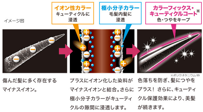 2つのイオンカラーで髪を染めるイメージ図