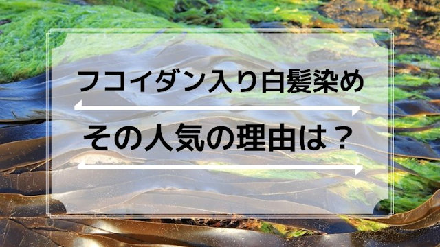 フコイダン入りの白髪染めが人気の理由とは？