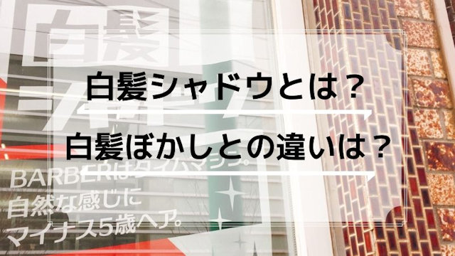 白髪シャドウってなに？白髪ぼかしとの違いは？美容師に聞きました