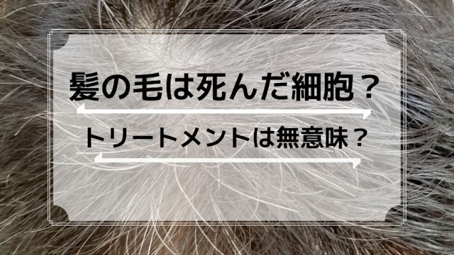 髪の毛は死んだ細胞？髪にトリートメントは意味がない？