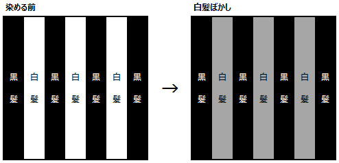 白髪ぼかしの染毛イメージ