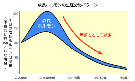 成長ホルモン分泌量