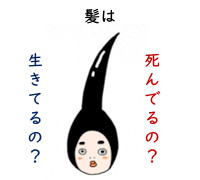 髪の毛は生きている？死んでいる？