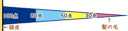 髪の毛の点数イメージ