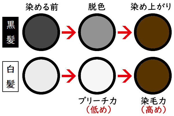 白髪染めで髪が染まるプロセス