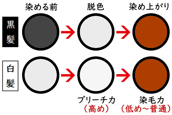 ヘアカラーで髪が染まるプロセス