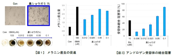 学会発表