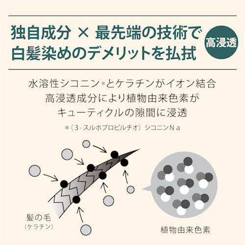 水溶性シコニンとケラチンがイオン結合