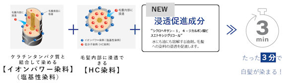 染め時間は10分→3分に短縮